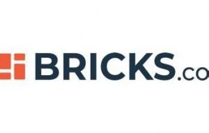 Bricks