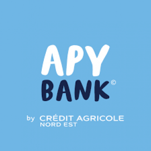 APY BANK