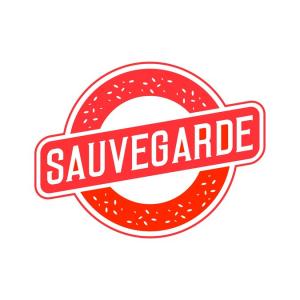 Sauvegarde