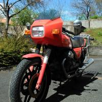 guzzi