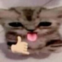 FreakyCat