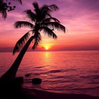 dosedesoleil