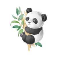 profil du parrain Morhange