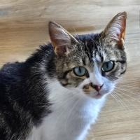 profil du parrain Fanch