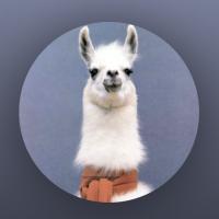 ✨Llama✨