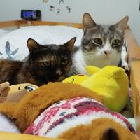 profil du parrain Astuceetbonsplans