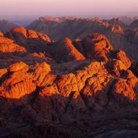 profil du parrain Lm71