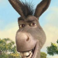 profil du parrain mr_didi