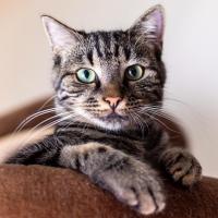 profil du parrain ✅France