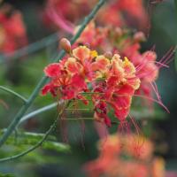 profil du parrain MarieV