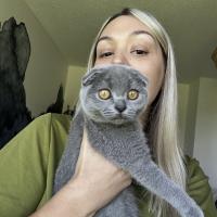 profil du parrain Galligiu