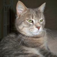 profil du parrain Bon