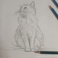 profil du parrain Mel3423