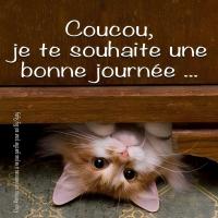 profil du parrain Vincent137831