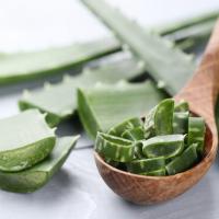 profil du parrain RomDh