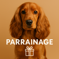 profil du parrain AORIK7